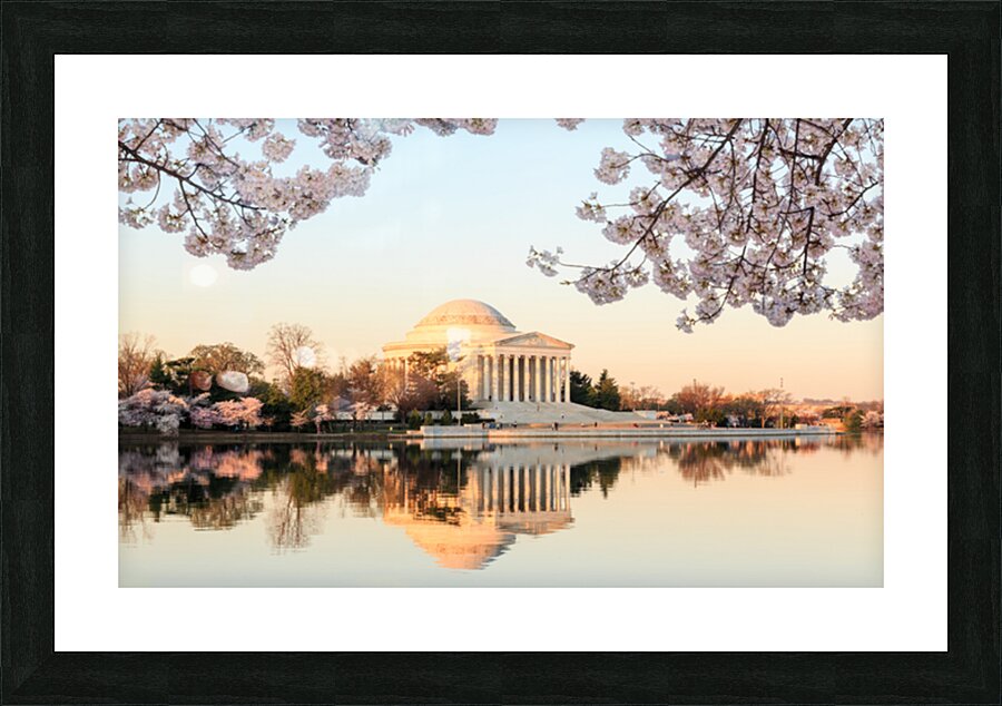 Wide Vista of Beautiful early cherry blossoms Jefferson Memorial Impression et Cadre photo