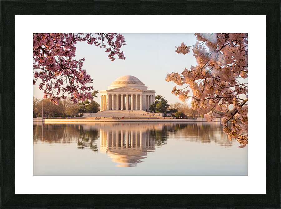 Beautiful early morning Jefferson Memorial with pastel colors Picture Frame print