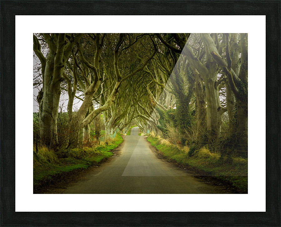 Dark Hedges road through old trees Impression et Cadre photo
