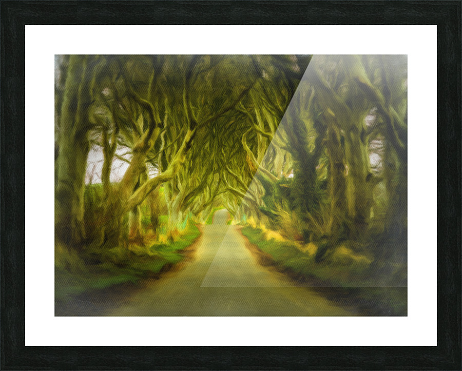 Dark Hedges road through old trees Picture Frame print