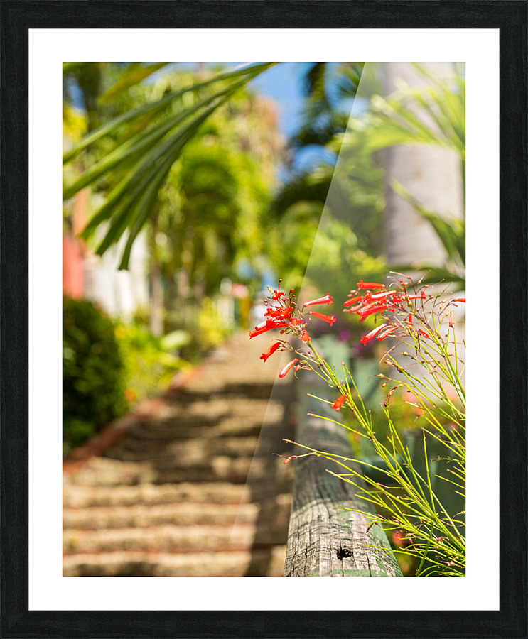 Famous 99 steps Charlotte Amalie Picture Frame print