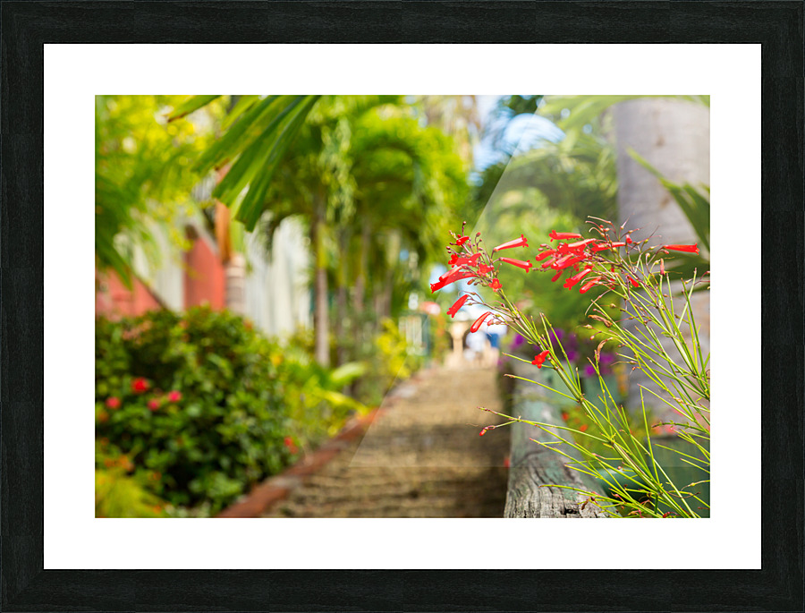 Famous 99 steps Charlotte Amalie Picture Frame print