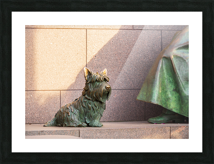 Pet dog at Roosevelt memorial Washington DC Picture Frame print