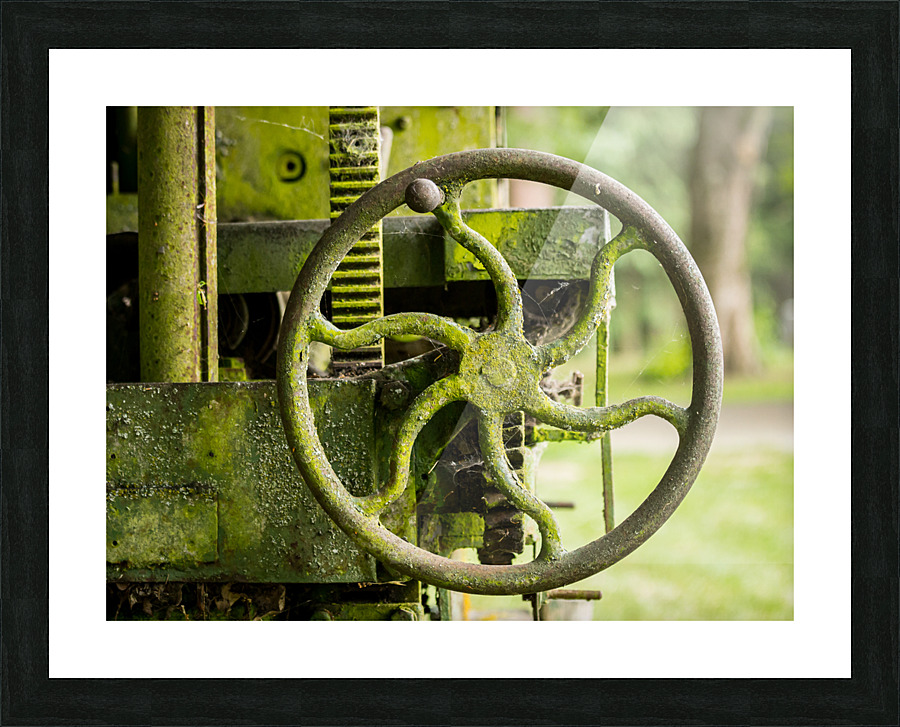 Moss covered farm machinery with handle Picture Frame print