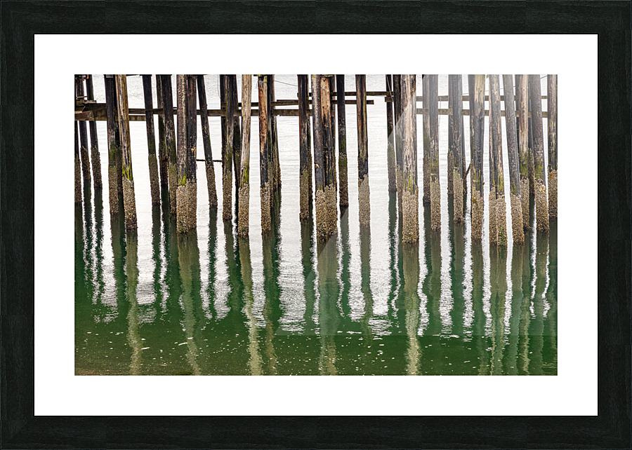 Old wooden pier structure in bay at Icy Strait Point in Alaska Picture Frame print