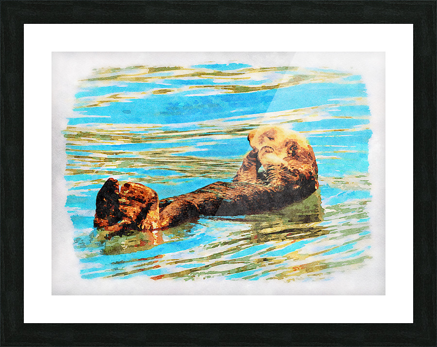 Digital watercolor of Sea Otter floating in the sea Picture Frame print