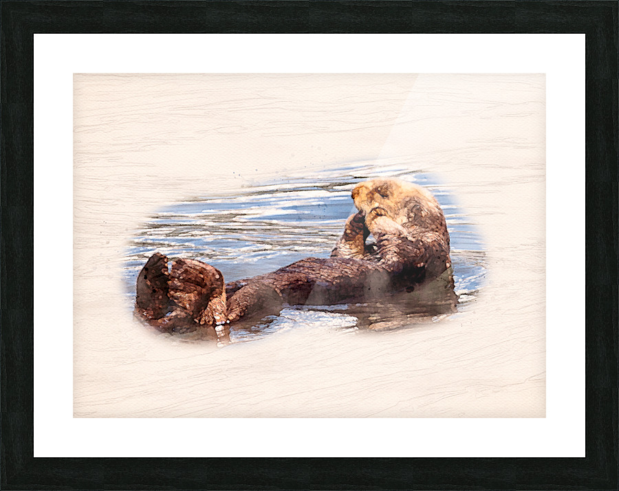Digital watercolor of Sea Otter floating in the sea Picture Frame print