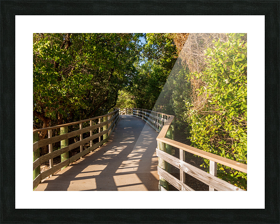 Florida Keys raised walkway  Picture Frame print