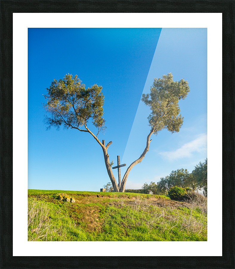 Serra Cross in Ventura California between trees Picture Frame print