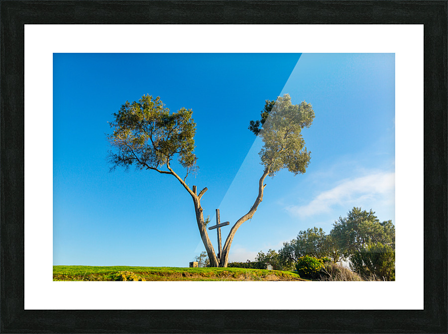 Serra Cross in Ventura California between trees Picture Frame print