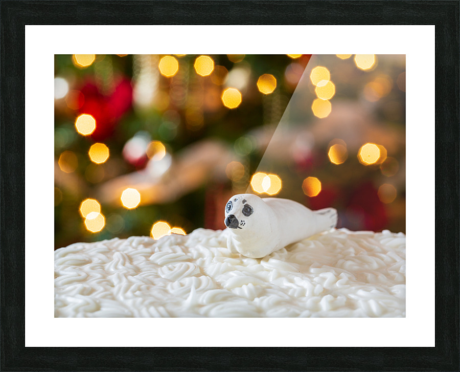 Seal on Christmas cake with tree lights Picture Frame print