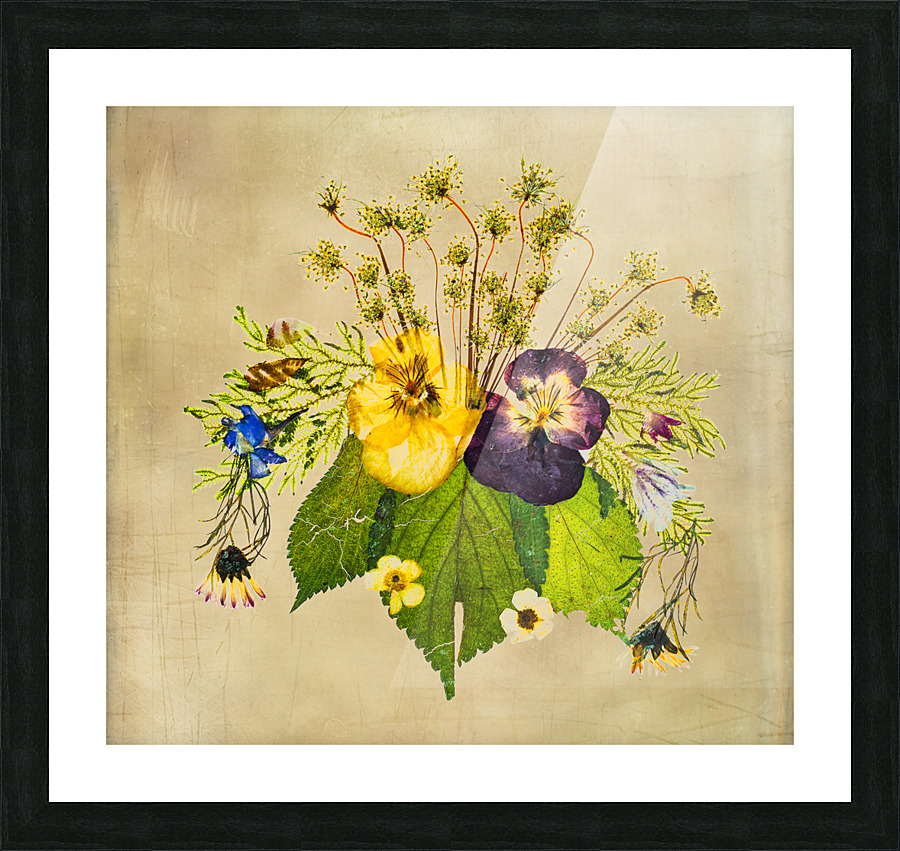 Arrangement of dried pressed flowers Picture Frame print