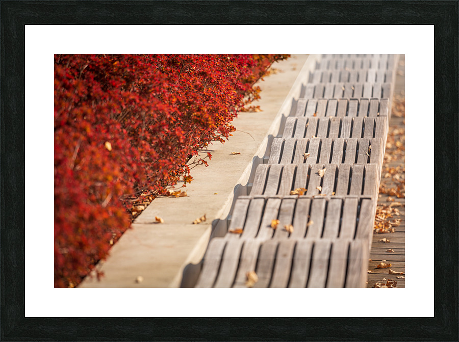 Modern wavy wooden bench in Yards Park Impression et Cadre photo