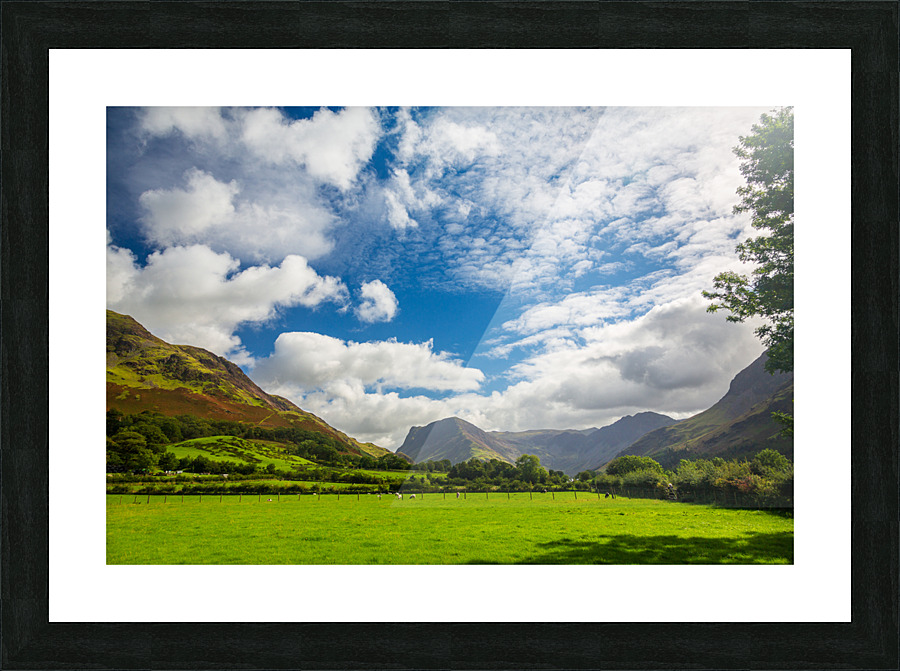 Sheep graze near Buttermere Lake District Picture Frame print