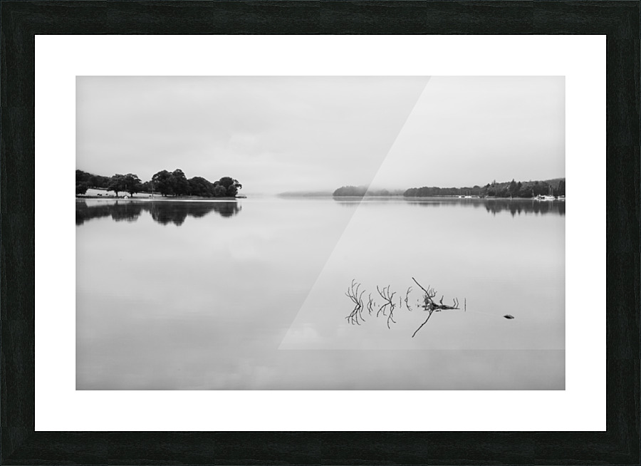 Reflection of branch in Coniston Water  Picture Frame print