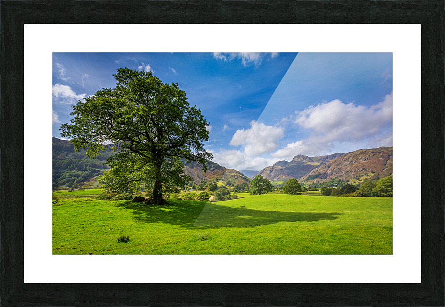 Tree with Langdale Pikes in Lake District Picture Frame print
