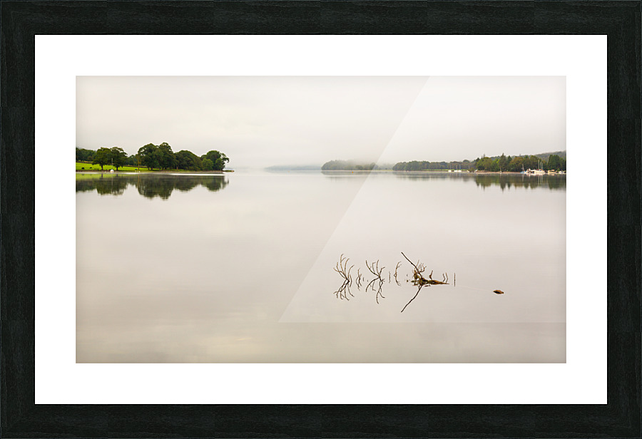 Reflection of branch in Coniston Water  Picture Frame print