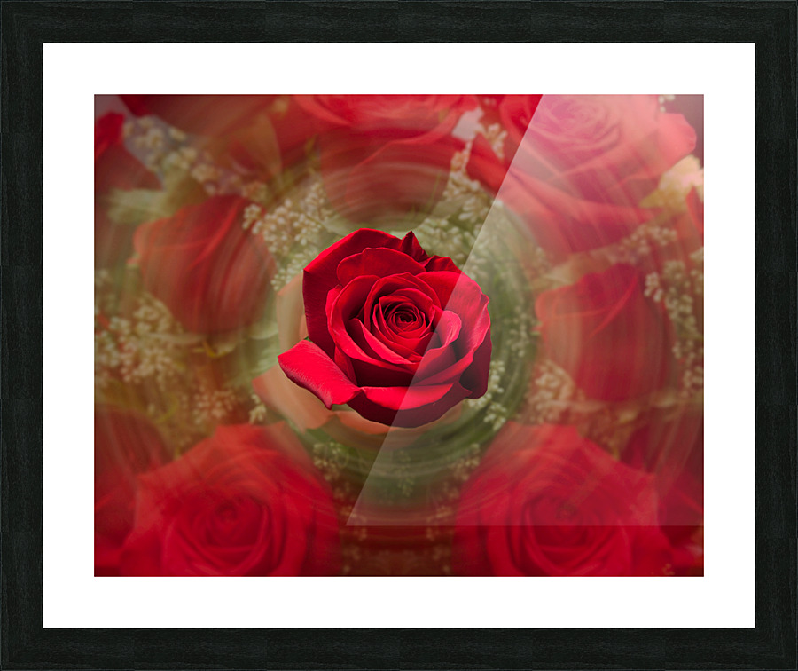 Close up of red rose bouquet with roses Impression et Cadre photo