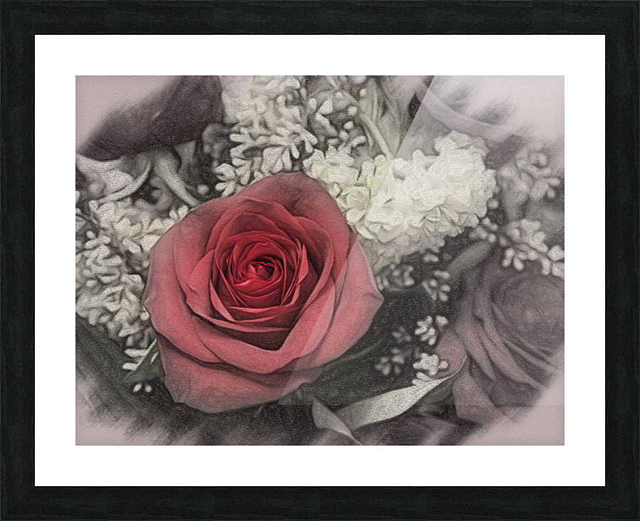 Color charcoal drawing of red rose bouquet Picture Frame print