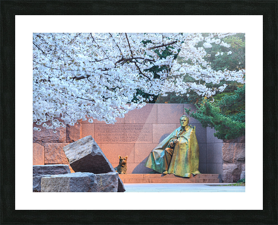 Cherry blossoms and Washington FDR monument Picture Frame print