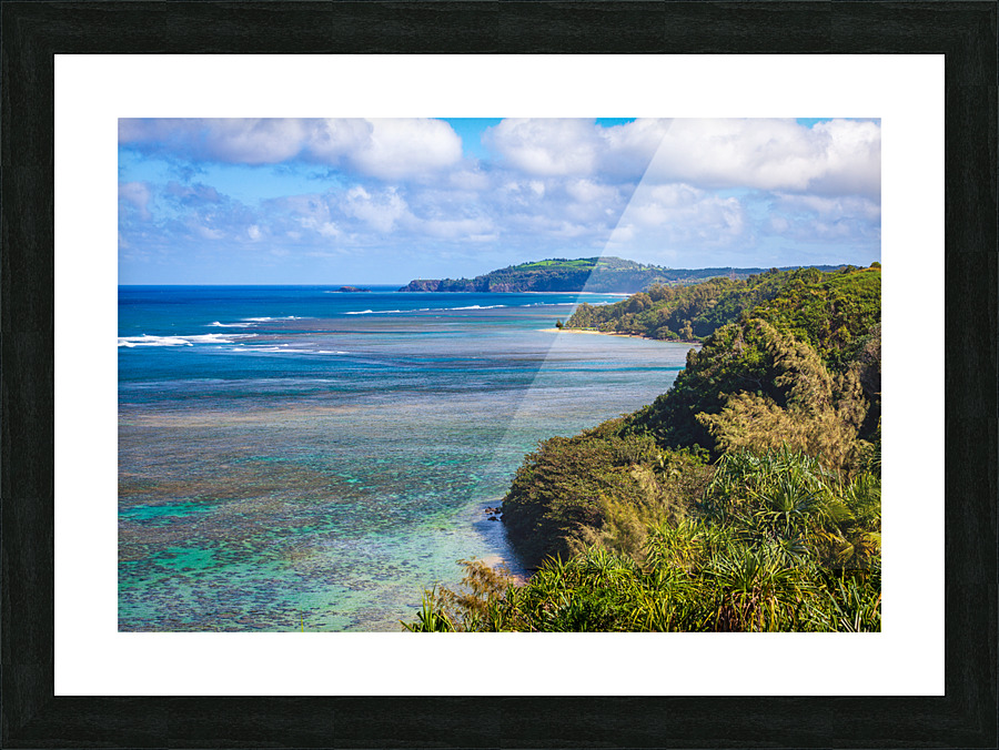Sealodge and anini beach in Kauai Picture Frame print