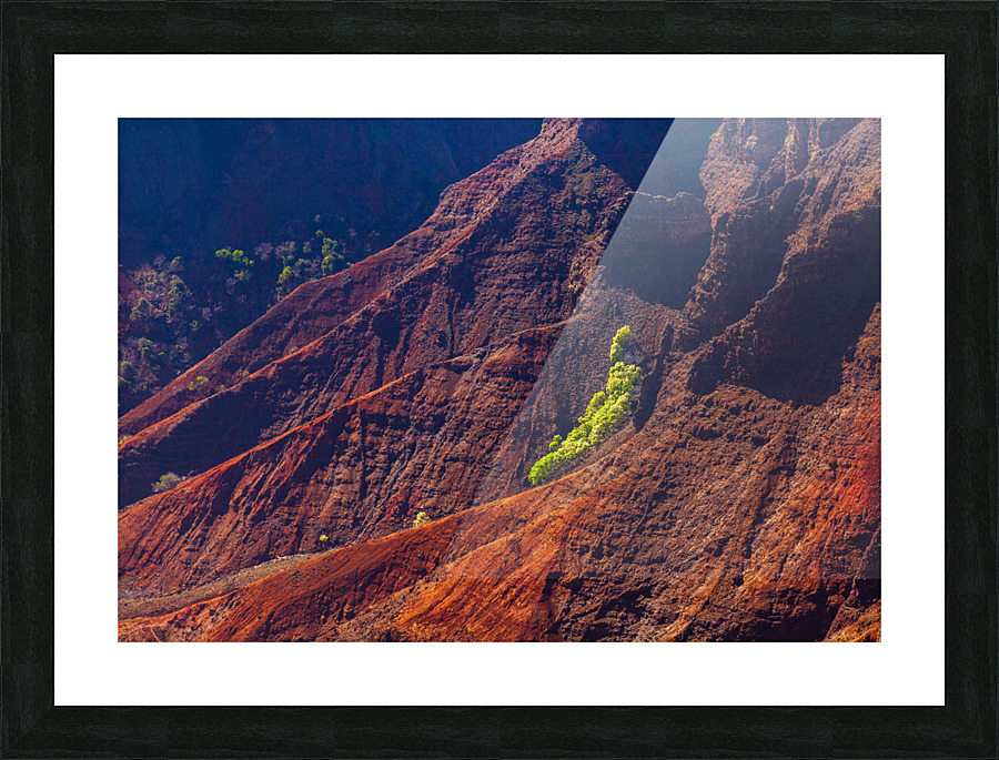 Waimea Canyon on Kauai Picture Frame print