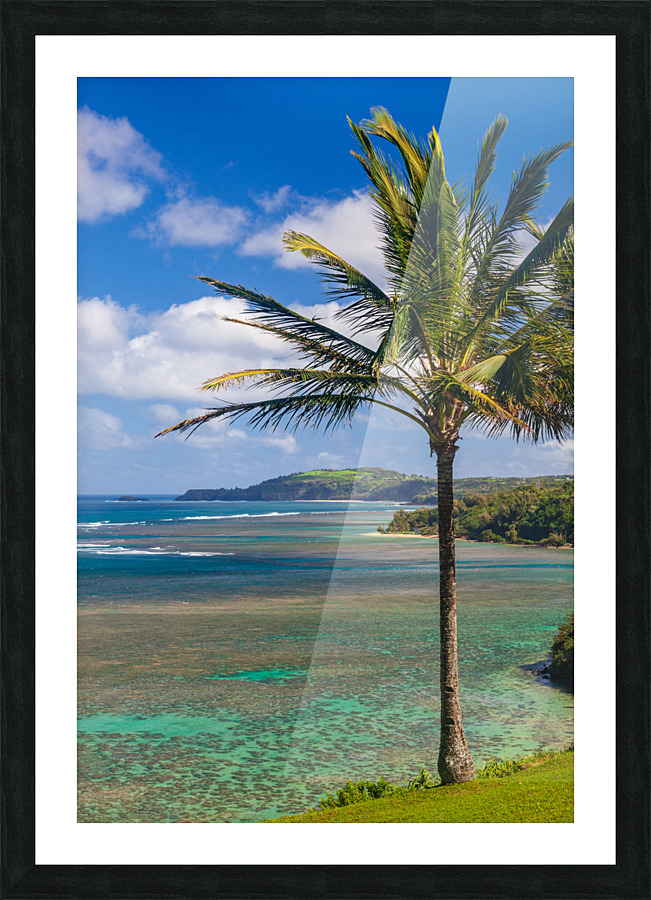 Sealodge and anini beach in Kauai Picture Frame print