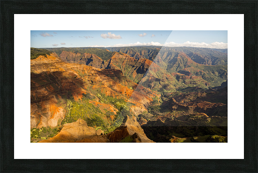 Garden Island of Kauai from helicopter tour Picture Frame print