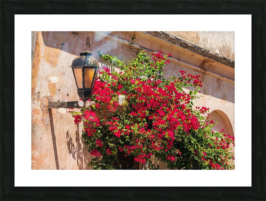 Street lamp in Unesco historical town of Colonia del Sacramento Picture Frame print