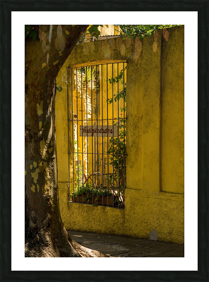 Window to courtyard of antique shop in Colonia del Sacramento Picture Frame print