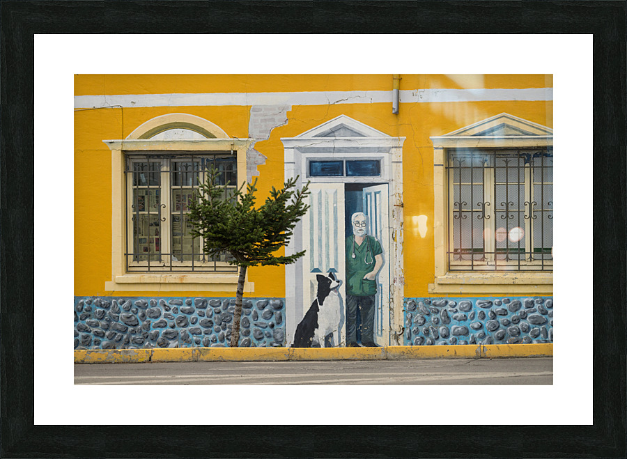Wall mural on building in Punta Arenas in Chile Impression et Cadre photo