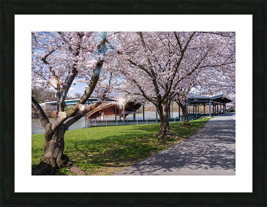 Ruby Amphitheater by walking trail  by the river in Morgantown W Picture Frame print