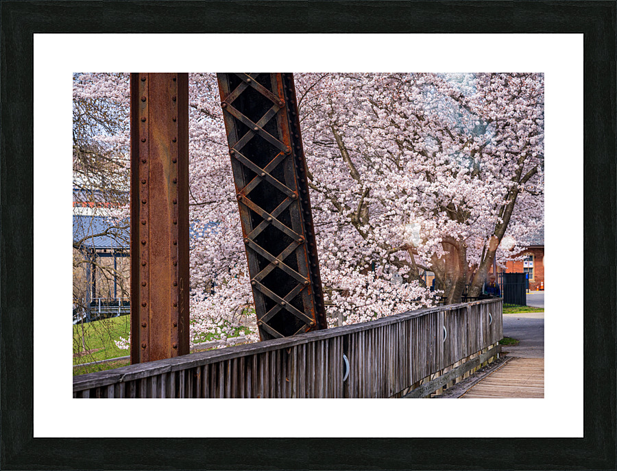 Steel girder bridge carries the bike walking trail over Deckers  Picture Frame print
