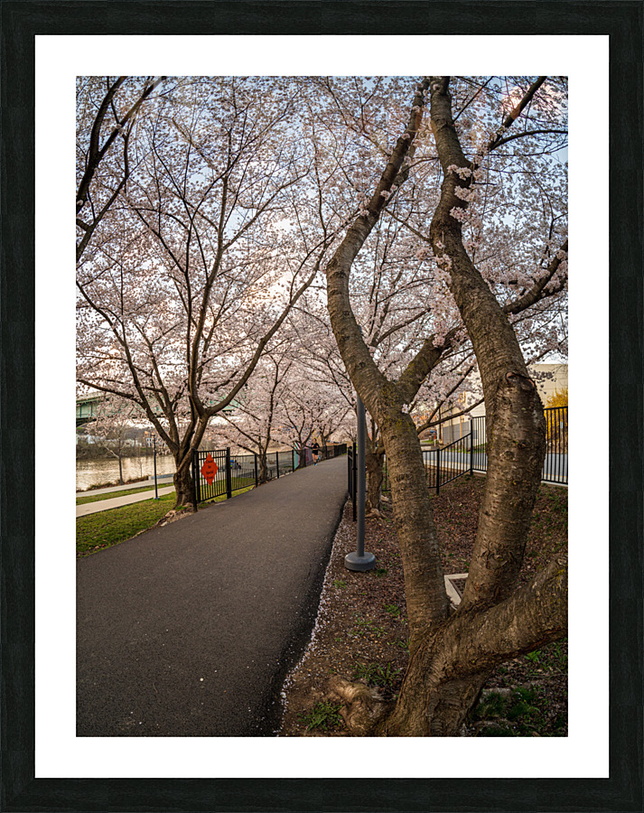 Jogger running on the bike walking trail over Deckers Creek Morg Picture Frame print