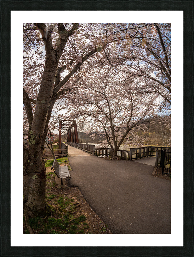 Steel girder bridge carries the bike walking trail over Deckers  Picture Frame print
