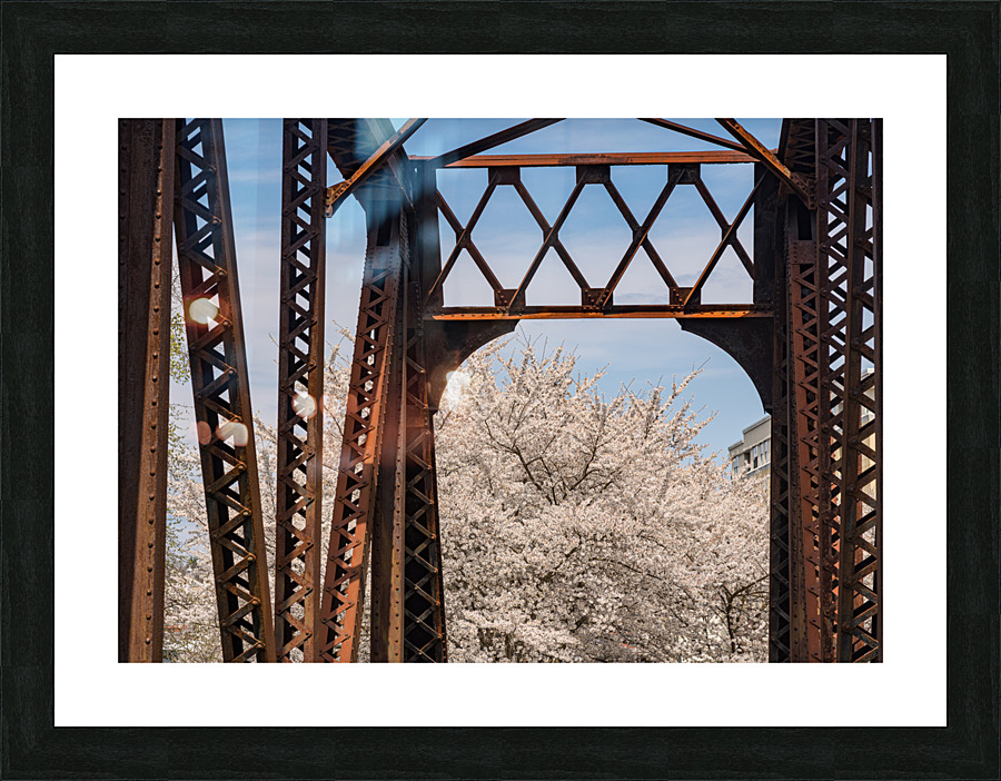 Steel girder bridge carries the bike walking trail over Deckers  Picture Frame print