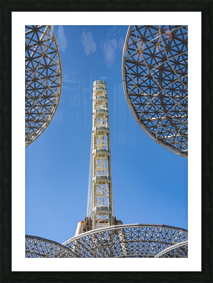 Ain Dubai observation wheel on Bluewaters Island Dubai UAE Picture Frame print