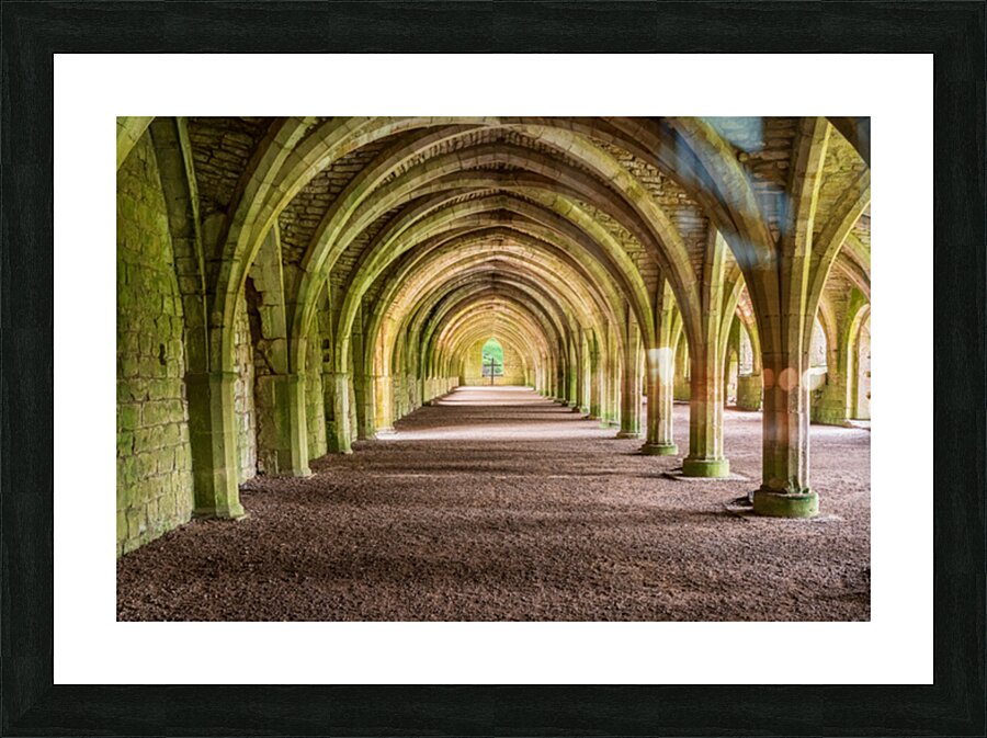 Cellarium under Fountains Abbey ruins in Yorkshire England Picture Frame print