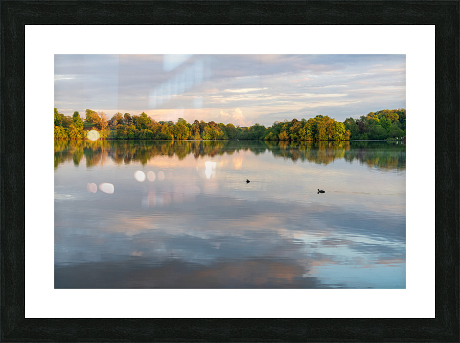 View across the Ellesmere Mere to a clear reflection of distant  Picture Frame print