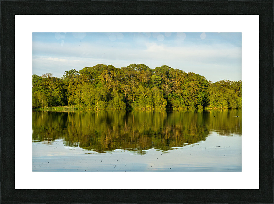 View across the Mere to a reflection of distant trees in Ellesme Picture Frame print