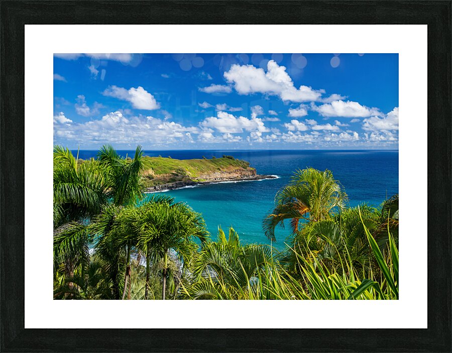 Mokolea point and Kahili beach framed by palm trees Kauai Impression et Cadre photo