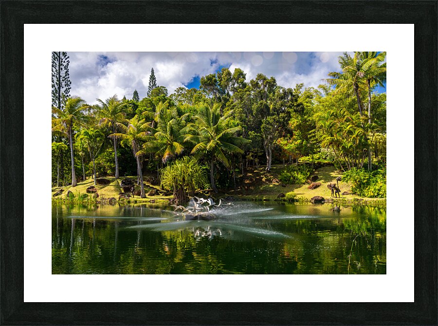 Gorgeous lagoon and lake in the Na Aina Kai sculpture garden Picture Frame print