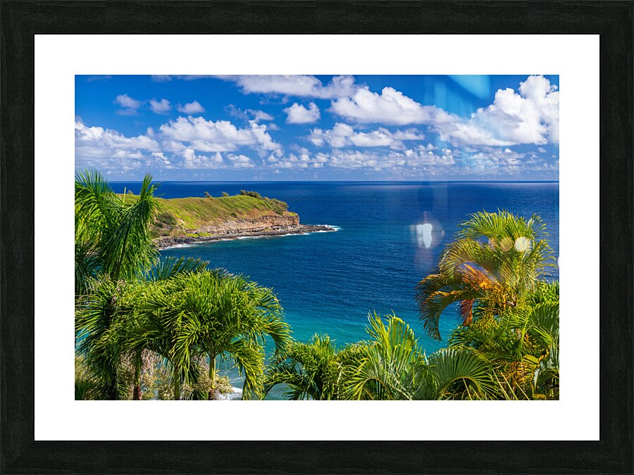 Mokolea point and Kahili beach framed by palm trees Kauai Picture Frame print