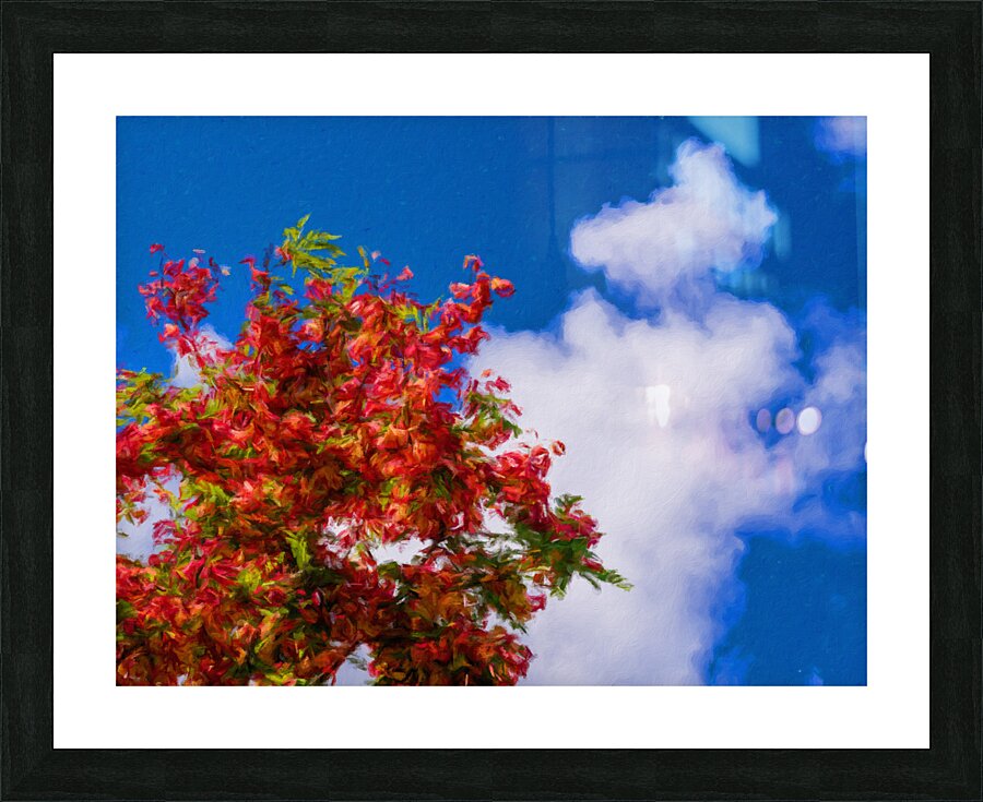 Impressionistic painting of rainbow shower tree blossoms Picture Frame print