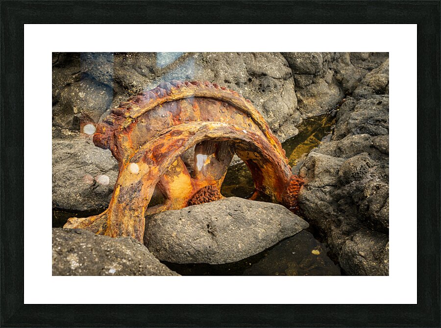 Sugar industry equipment abandoned on Mokolea Point Picture Frame print