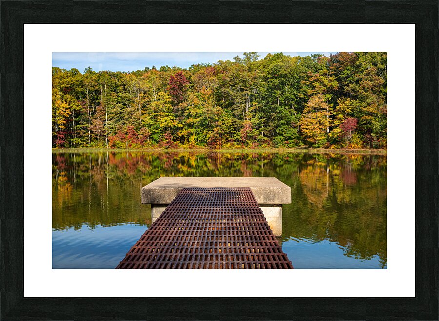 Fall leaves and metal pier in Coopers Rock State Forest in WV Picture Frame print