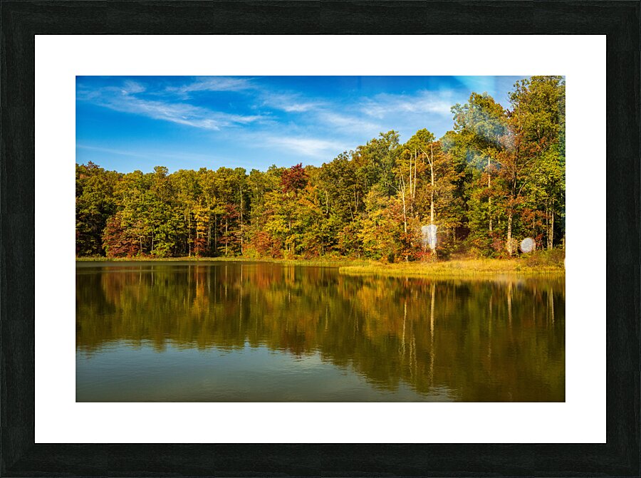 Fall leaves surround reservoir in Coopers Rock State Forest in W Picture Frame print