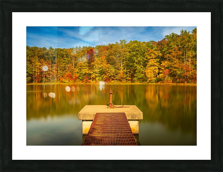 Fall leaves and metal pier in Coopers Rock State Forest in WV Picture Frame print