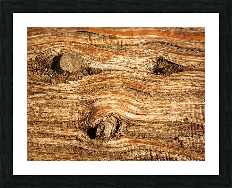 Background close up of cedar trunk bark Picture Frame print