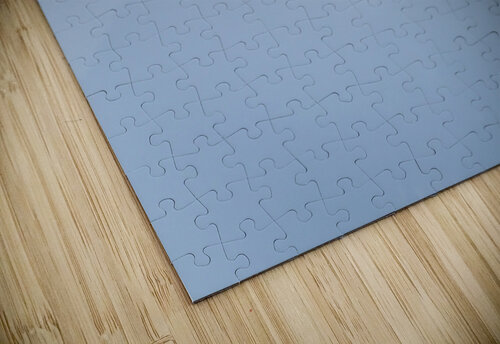 Imperial Shag or Cormorant flying by Cape Horn in Chile Steve Heap puzzle